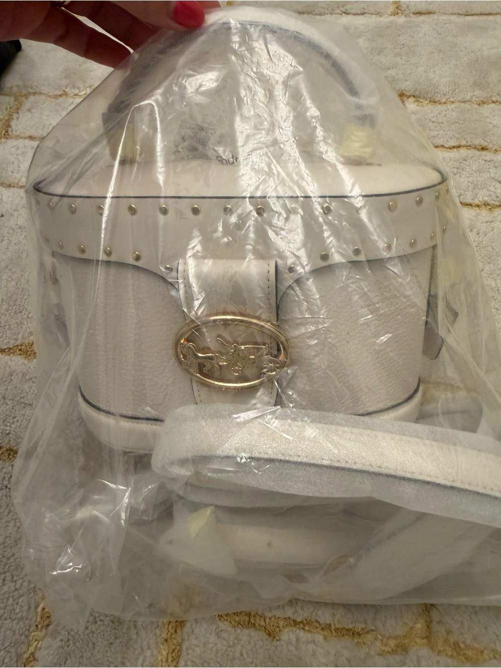 Coach White Crossbody Vanity Case with Gold Hardware